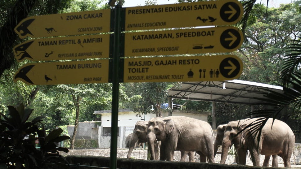 gembira loka zoo_2